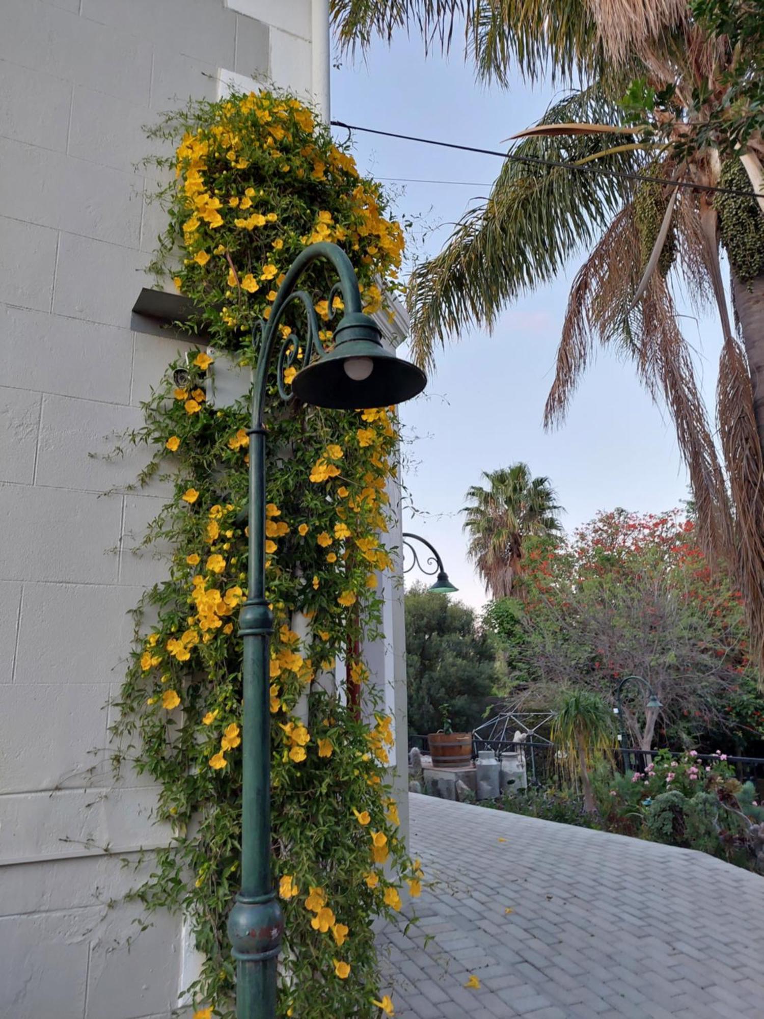 Haus Mueller Hotel Clanwilliam Bagian luar foto